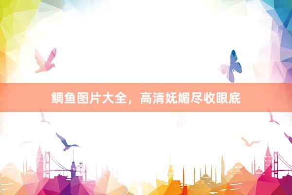 鲷鱼图片大全，高清妩媚尽收眼底
